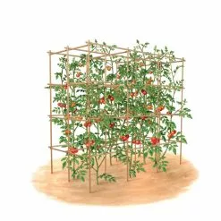GSC Tomato Six Pack Support -Plant Supports Shop 8613143 art flat