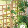 GSC Bamboo Zig-Zag Trellis 24" X 36" -Plant Supports Shop 8613151 15