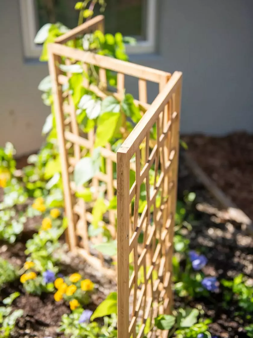 GSC Bamboo Zig-Zag Trellis 24" X 36" 5 GSC Bamboo Zig-Zag Trellis 24" X 36" - Image 3