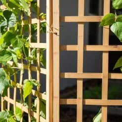 GSC Bamboo Zig-Zag Trellis 24" X 36" 18 GSC Bamboo Zig-Zag Trellis 24" X 36" -Plant Supports Shop 8613151 6491