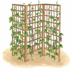 GSC Bamboo Zig-Zag Trellis 24" X 36" 20 GSC Bamboo Zig-Zag Trellis 24" X 36" -Plant Supports Shop 8613151 art flat