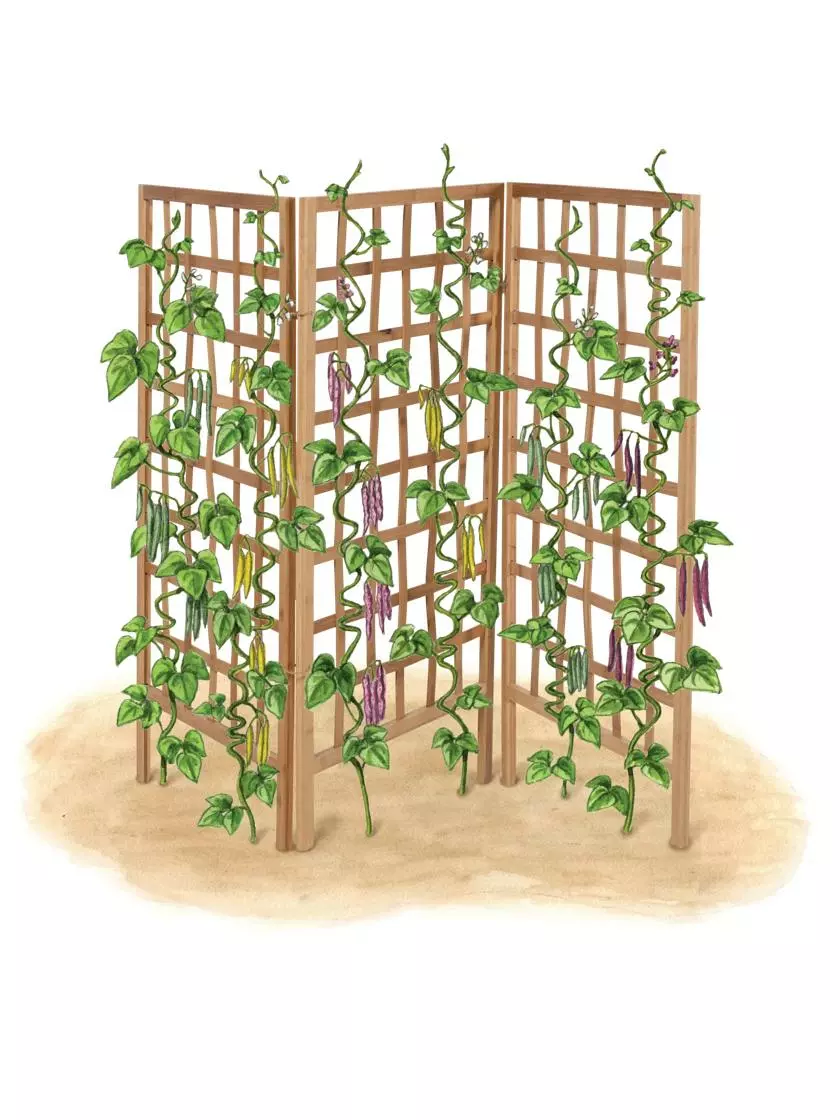 GSC Bamboo Zig-Zag Trellis 24" X 36" 10 GSC Bamboo Zig-Zag Trellis 24" X 36" - Image 8