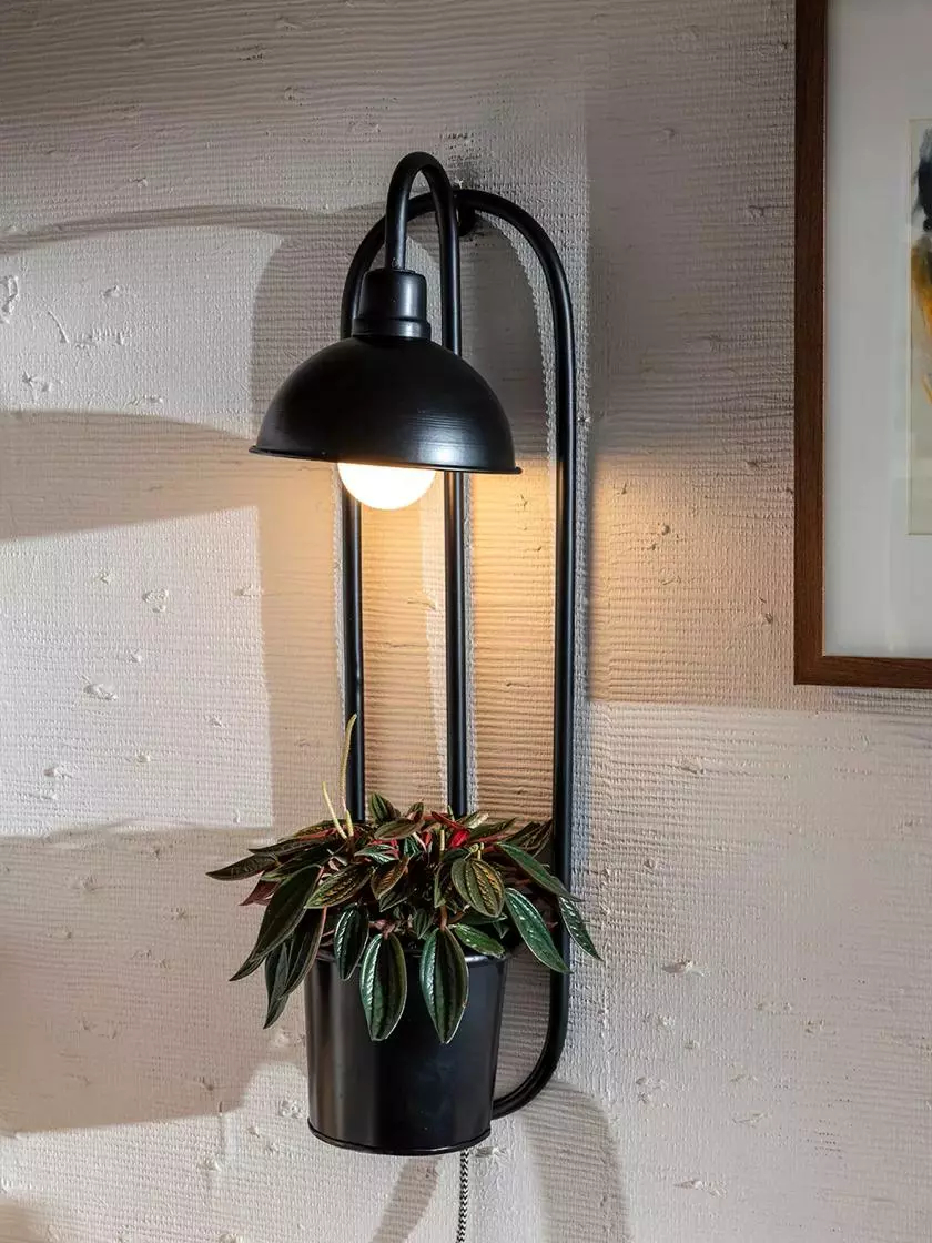 GSC Kira Grow Light Hanging Planter 3 GSC Kira Grow Light Hanging Planter