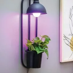 GSC Kira Grow Light Hanging Planter 9 GSC Kira Grow Light Hanging Planter -Plant Supports Shop 8613232 5659