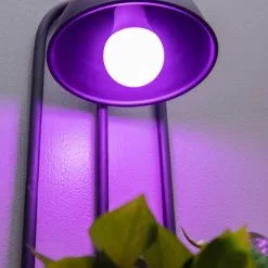 GSC Kira Grow Light Hanging Planter 10 GSC Kira Grow Light Hanging Planter -Plant Supports Shop 8613232 5663