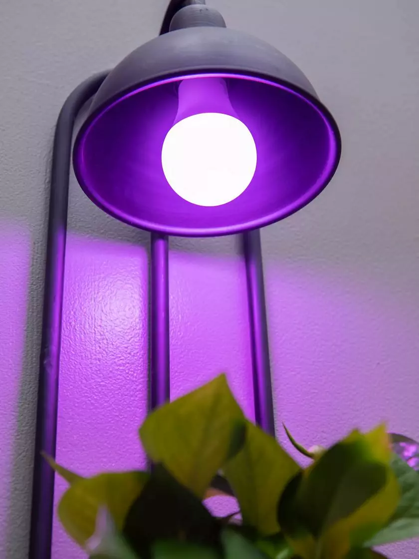 GSC Kira Grow Light Hanging Planter 6 GSC Kira Grow Light Hanging Planter - Image 4
