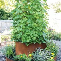 GSC Birdies™ Corten Steel Round Raised Bed, Large, Low -Plant Supports Shop 8613245 0182 1