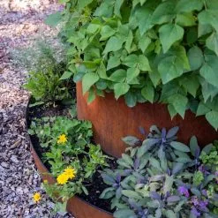 GSC Birdies™ Corten Steel Tiered Round Raised Bed Kit, Tall -Plant Supports Shop 8613245 0195