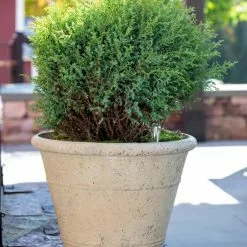 GSC Self-Watering LavaStone® Anson Pot -Plant Supports Shop 8613255 0144