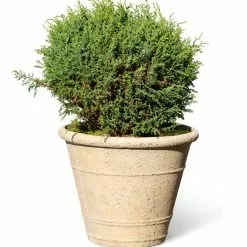 GSC Self-Watering LavaStone® Anson Pot -Plant Supports Shop 8613255 0150