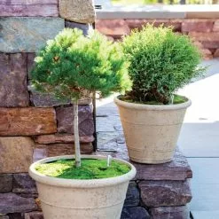 GSC Self-Watering LavaStone® Anson Pot