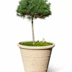 GSC Self-Watering LavaStone® Anson Pot -Plant Supports Shop 8613256 0138