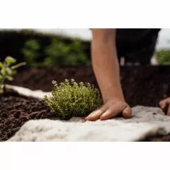 GSC Hortiwool ®, Starter Garden Pad -Plant Supports Shop 8613263 09v