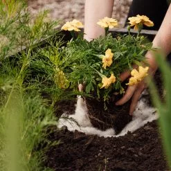 GSC Hortiwool ®, Starter Garden Pad -Plant Supports Shop 8613263 12v 1