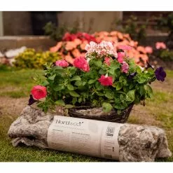 GSC Hortiwool ® Hanging Basket Liner, Set Of 2 -Plant Supports Shop 8613263 16v
