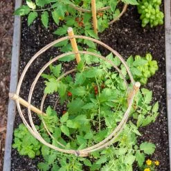 GSC Bamboo Tomato Cages, Set Of 3 -Plant Supports Shop 8613426 6921