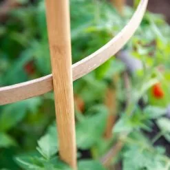 GSC Bamboo Tomato Cages, Set Of 3 -Plant Supports Shop 8613426 6924