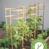 GSC Bamboo Tomato Cages, Set Of 3 -Plant Supports Shop 8613426 7