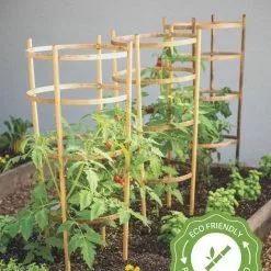 GSC Bamboo Tomato Cages, Set Of 3