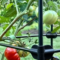 GSC Oasis Self-Watering Tomato Planter With Trellis -Plant Supports Shop 8613440 01TEST