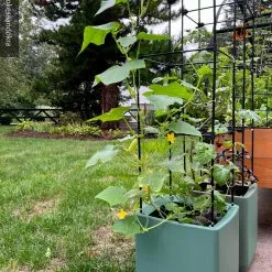 GSC Oasis Self-Watering Tomato Planter With Trellis -Plant Supports Shop 8613440 02TEST