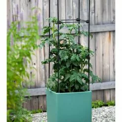 GSC Oasis Self-Watering Tomato Planter With Trellis -Plant Supports Shop 8613440 0373 3 4