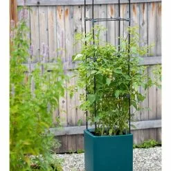 GSC Oasis Self-Watering Tomato Planter With Trellis -Plant Supports Shop 8613440 0376 3 4 1