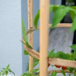 GSC Elevated Bamboo Tomato Planter And Trellis -Plant Supports Shop 8613502 0423