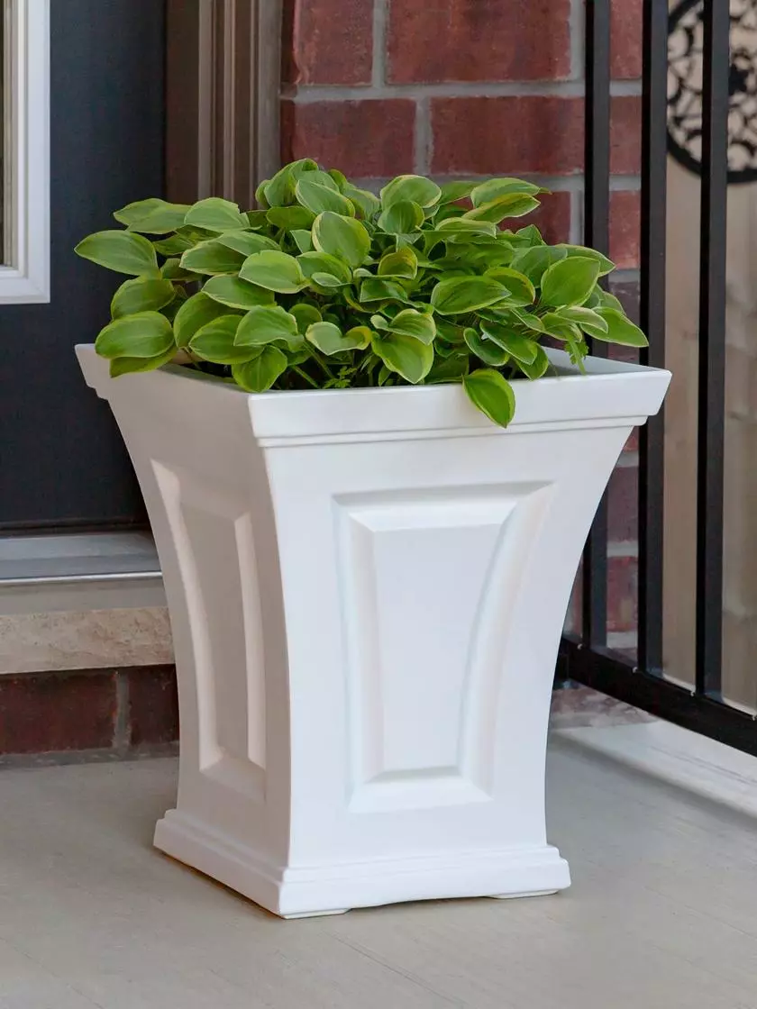 GSC Cambridge Tall Planter, 18" Height 3 GSC Cambridge Tall Planter, 18" Height