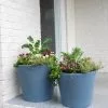 GSC Self-Watering FiberStone Planters