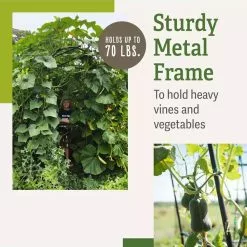 GSC Titan Squash Tunnel 13 GSC Titan Squash Tunnel -Plant Supports Shop B07932DMCR plantsupport benefits 2