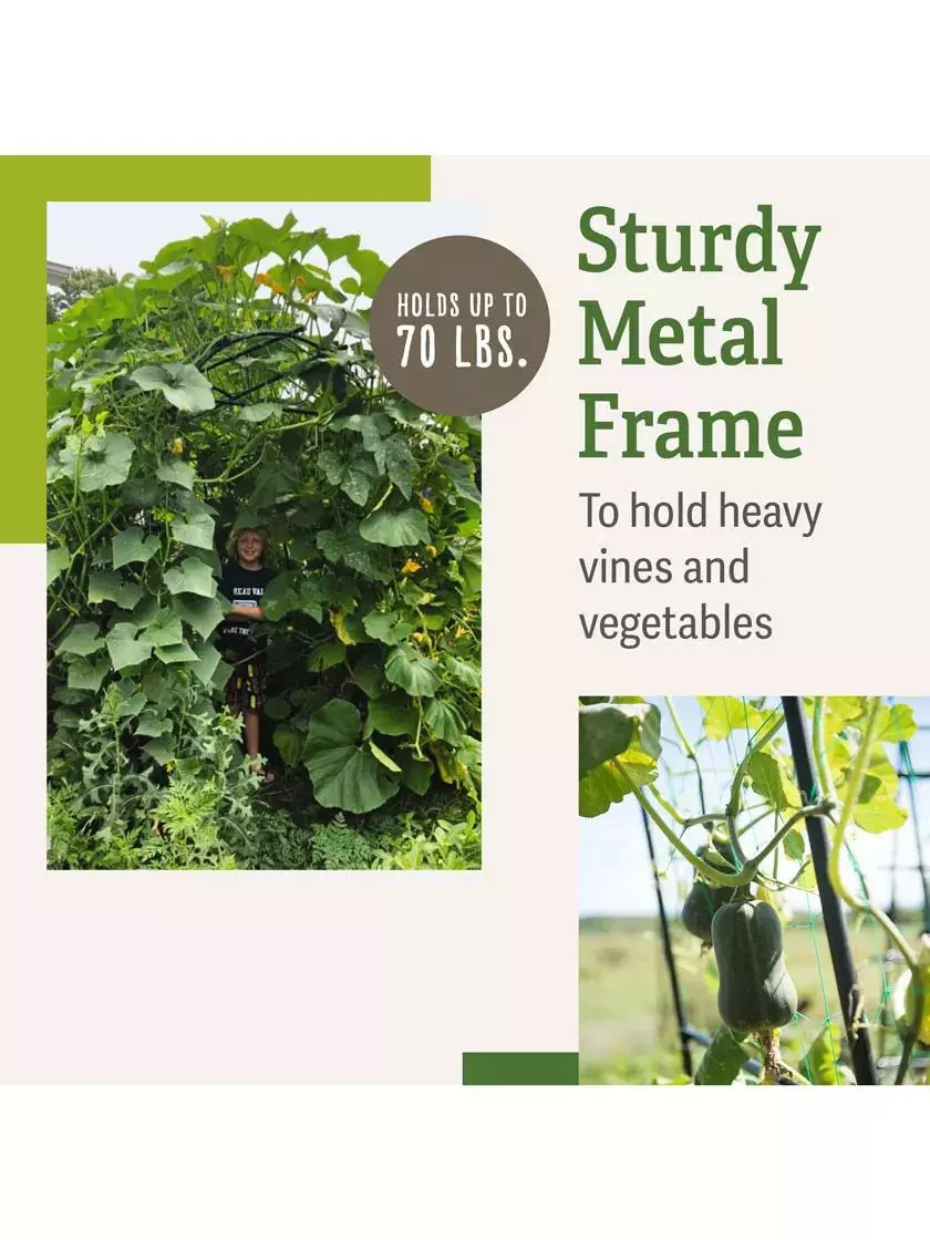 GSC Titan Squash Tunnel 5 GSC Titan Squash Tunnel - Image 3