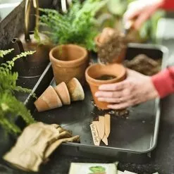 GSC Small Boot Tray -Plant Supports Shop GS32709 04 tif