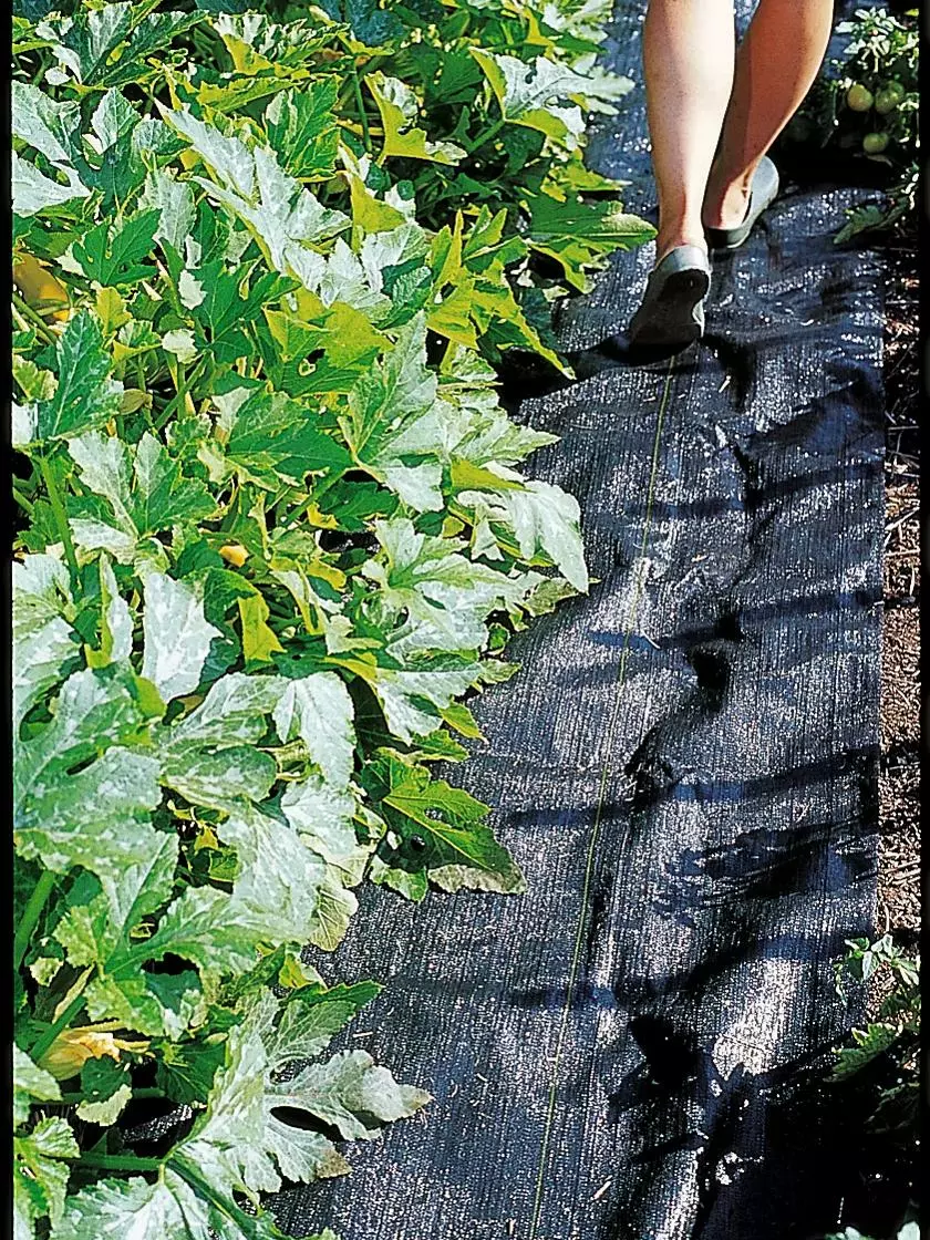 GSC Pro Weed Mat, 3' X 50' 3 GSC Pro Weed Mat, 3' X 50'