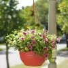GSC Self-Watering Hanging Basket