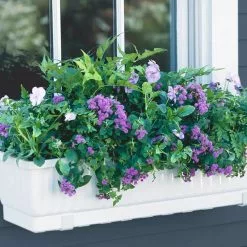 GSC 23" Self-Watering Window Box