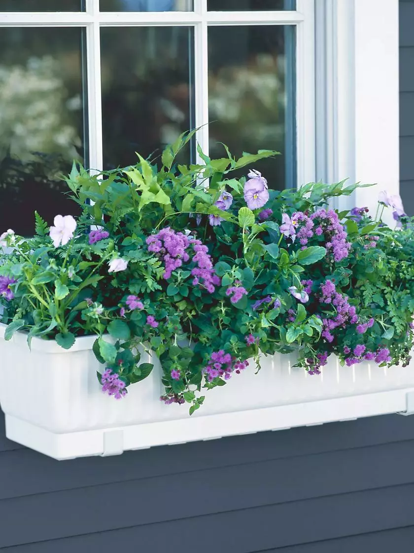 GSC 23" Self-Watering Window Box 3 GSC 23" Self-Watering Window Box