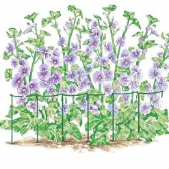 GSC Curved Linking Stakes -Plant Supports Shop GS35240 01S tif