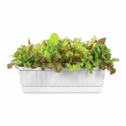 GSC 31" Self-Watering Window Box -Plant Supports Shop GS36523 01Z 3 4