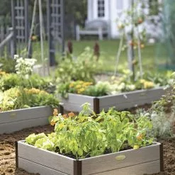 GSC Sustainable Raised Beds