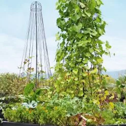 GSC Garden Maypole Plant Support