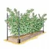 GSC Raspberry Bed 2 GSC Raspberry Bed -Plant Supports Shop GS39389 01S 1