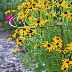 GSC Jardin Half-Round Plant Supports, Set Of 2