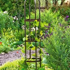 GSC Jardin Bird Cage Support, 26" -Plant Supports Shop GS39529 01 tif