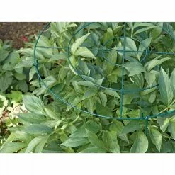 GSC Grow Through Supports, Set Of 3 -Plant Supports Shop GS40172 01 1