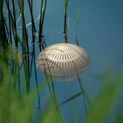 GSC Aquasphere Pond Cleaners