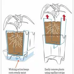 GSC Stoneware Self-Watering Windowsill Planters, Set Of 2 -Plant Supports Shop hiw 8593943 jpg