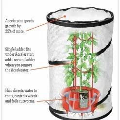 GSC Tomato TLC Kits, Set Of 3 -Plant Supports Shop hiw 8594214 jpg